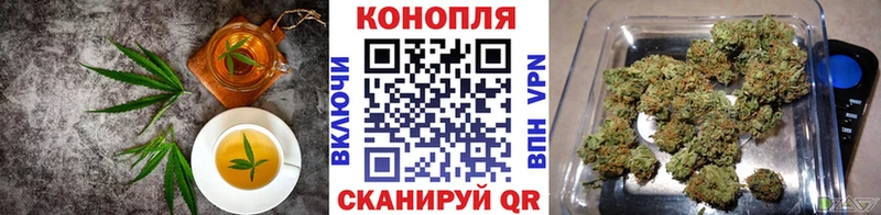 kraken вход  Нефтекумск  Печенье с ТГК марихуана 