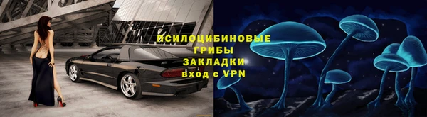 стаф Алексеевка